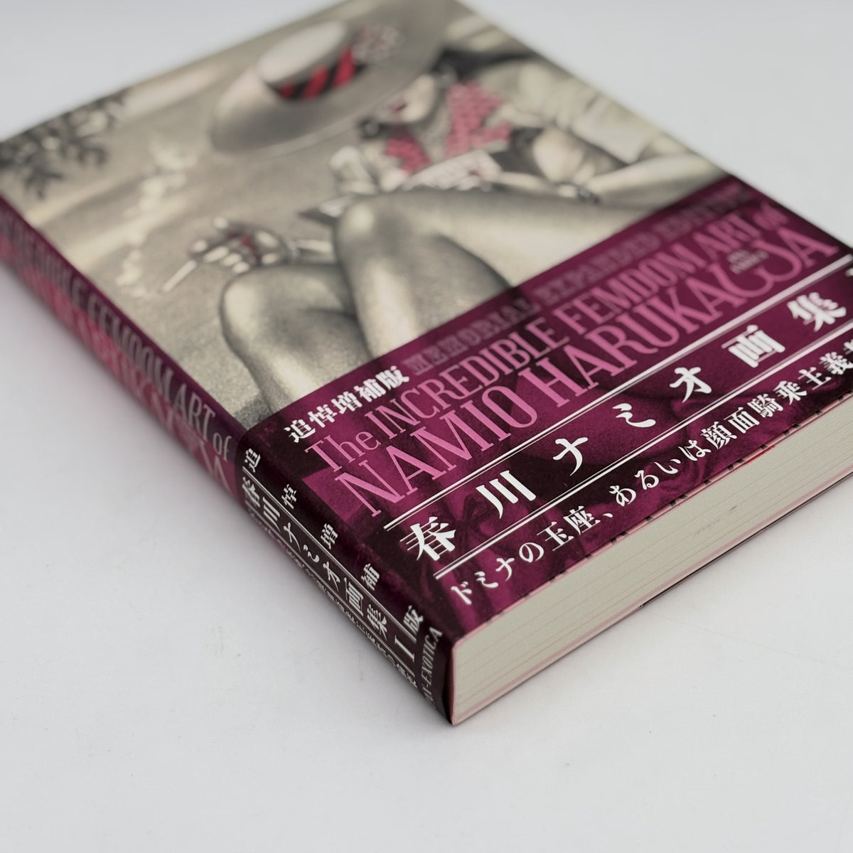 MEMORIAL EXPANDED EDITION The INCREDIBLE FEMDOM ART of NAMIO HARUKAWA Artbook I