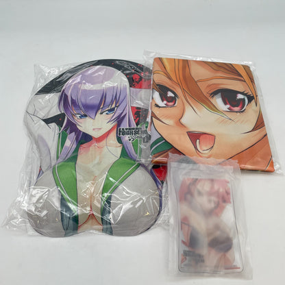 HIGHSCHOOL OF THE DEAD Secret Box Art Set Book From Japan