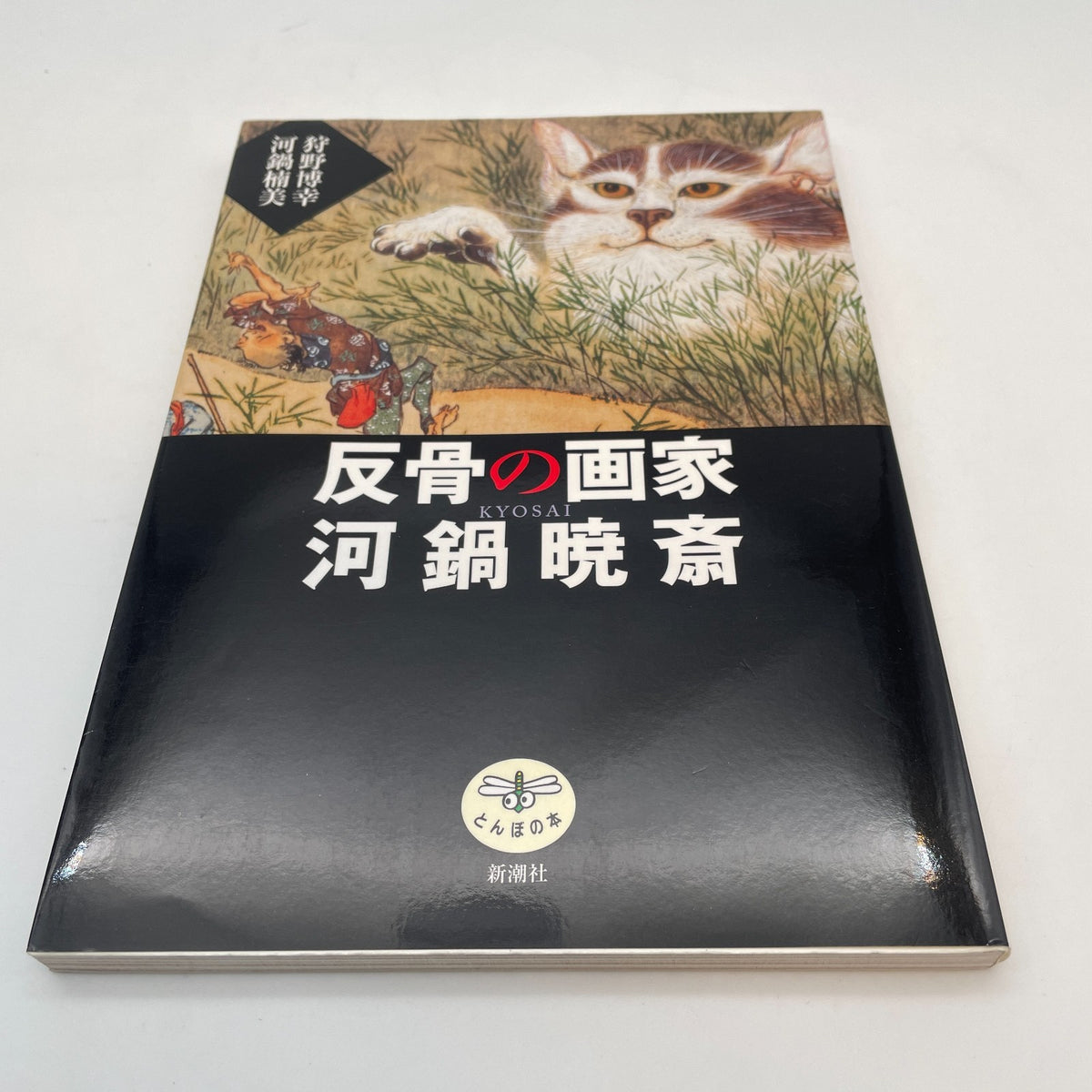 Kawanabe Kyosai Art Collection Book Ukiyo-e Illustration Japanese 126 pages
