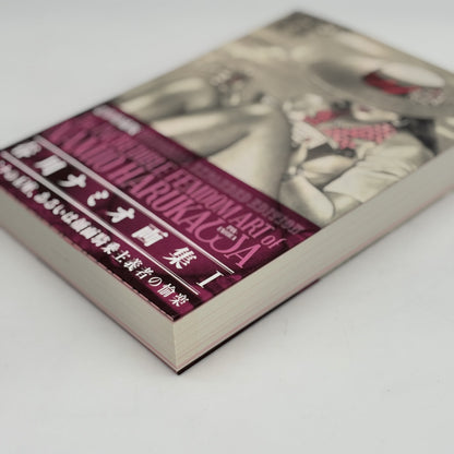 MEMORIAL EXPANDED EDITION The INCREDIBLE FEMDOM ART of NAMIO HARUKAWA Artbook I