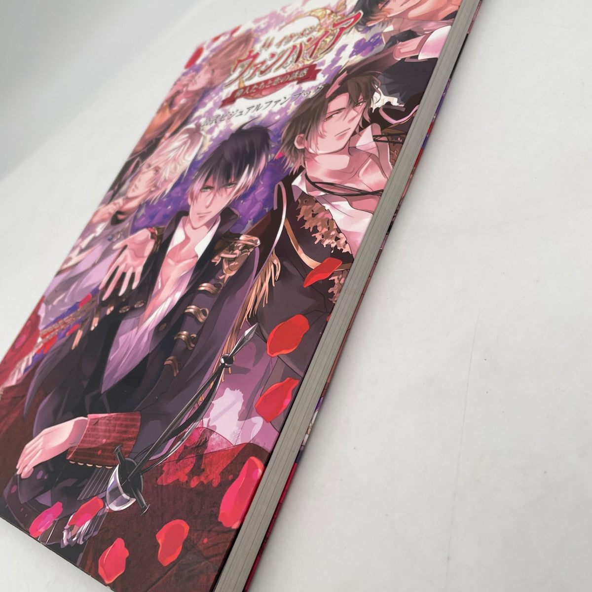Ikemen series Vampire Ijin Tachi to Koi no Yuwaku Art Book Japanese