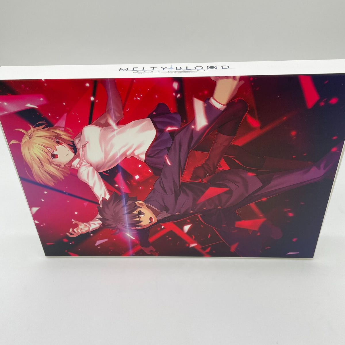 PS4 MELTY BLOOD TYPE LUMINA ARCHIVES Limited Edition From Japan