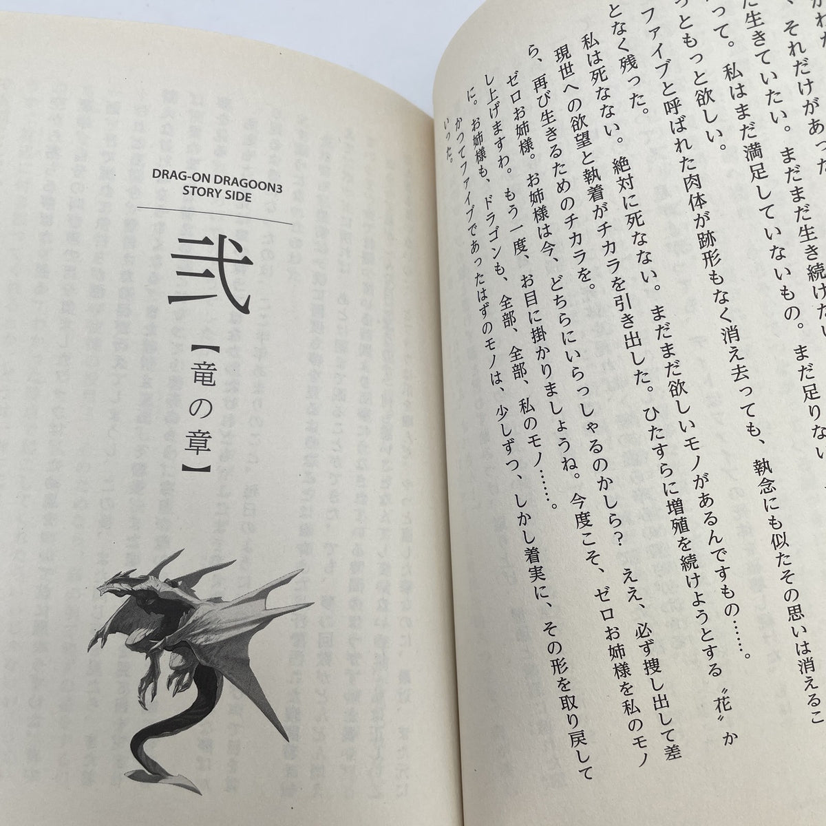 Novel Book DRAG ON DRAGOON 3 Story Side Novel by JUN EISHIMA QUARE ENIX 2014