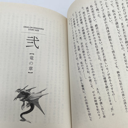 Novel Book DRAG ON DRAGOON 3 Story Side Novel by JUN EISHIMA QUARE ENIX 2014