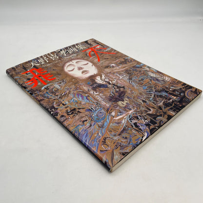 Yoshitaka Amano Art Book Hiten Artwrok Japanese Asahi Sonorama