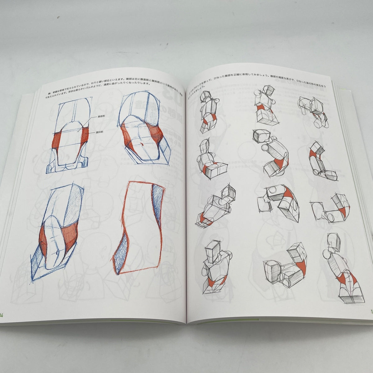 Master Guide to Drawing the Human Body Character Drawing from the Basics Book