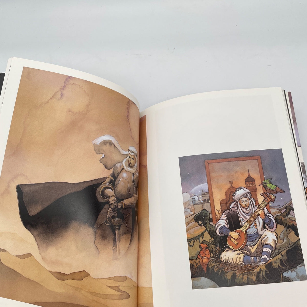 Qvinta essentia Hitoshi Yoneda Art Book Dragon magazine special 1993 Japan