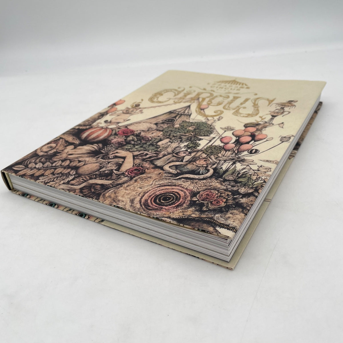 Yuko Higuchi 2019 Art Works Book CIRCUS Illustration Collection Japanese Book