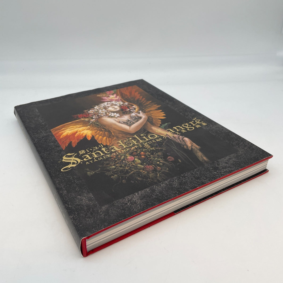 Kojima Ayami Akai Yuri Art Book Santa Lilio Sangre First Edition 2010
