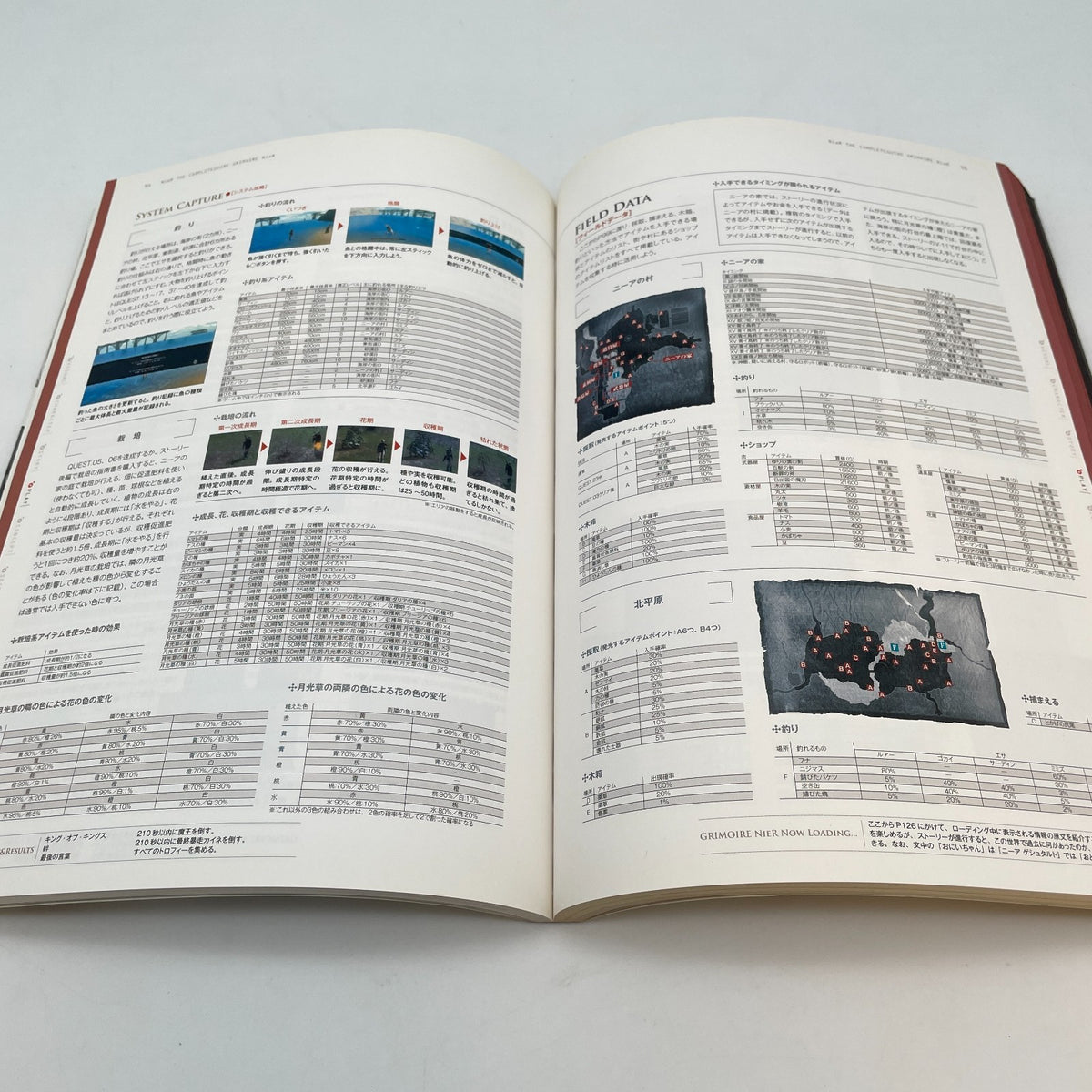 NieR GRIMOIRE Art Book Guide and Illustrations NieR Automata Prequel From Japan
