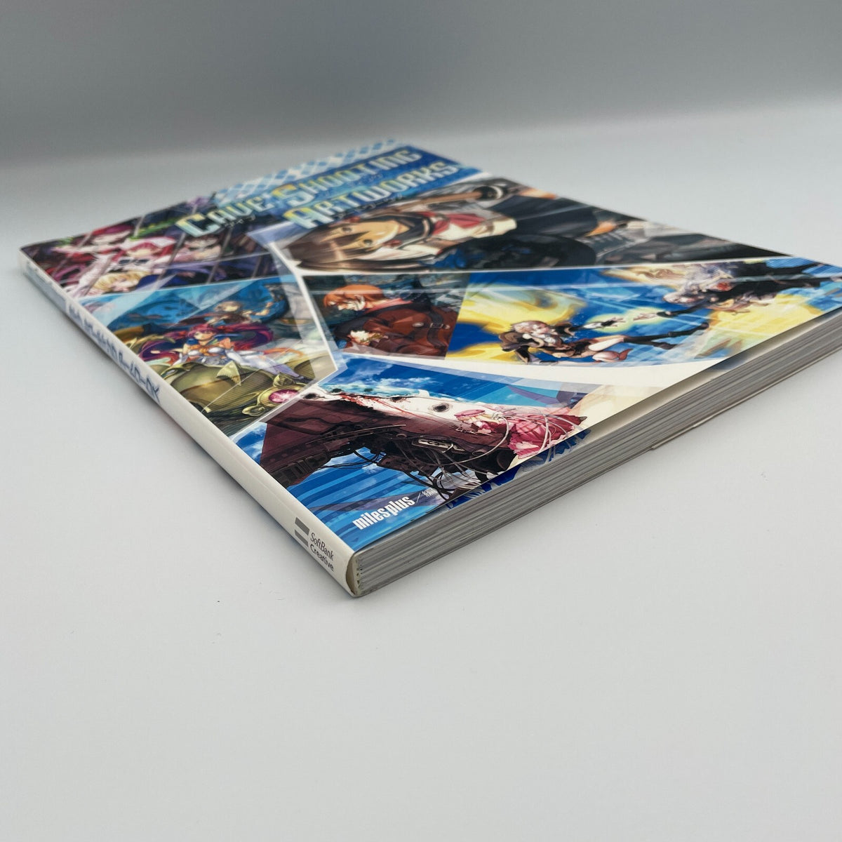 CAVE SHOOTING ART WORKS Illustration Book Ketsui Espgaluda Muchimuchi Pork etc.