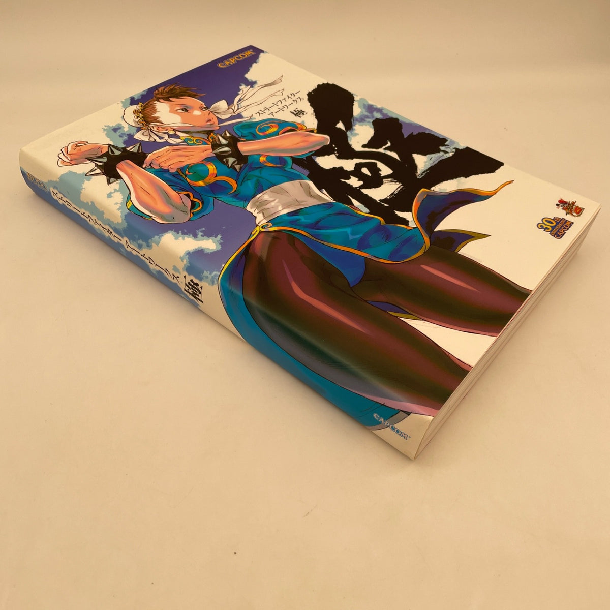 Street Fighter Art Works Kiwami Capcom Official Book Collection Artworks Japan