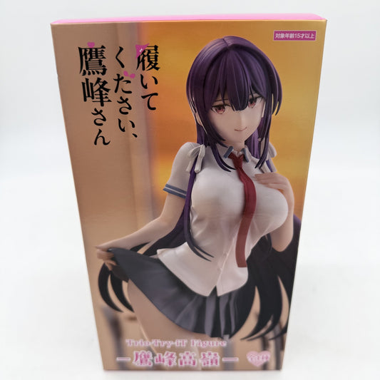Takamine Takane Please wear them Takamine-san Trio-Try-iT Figure FuRyu w/Box