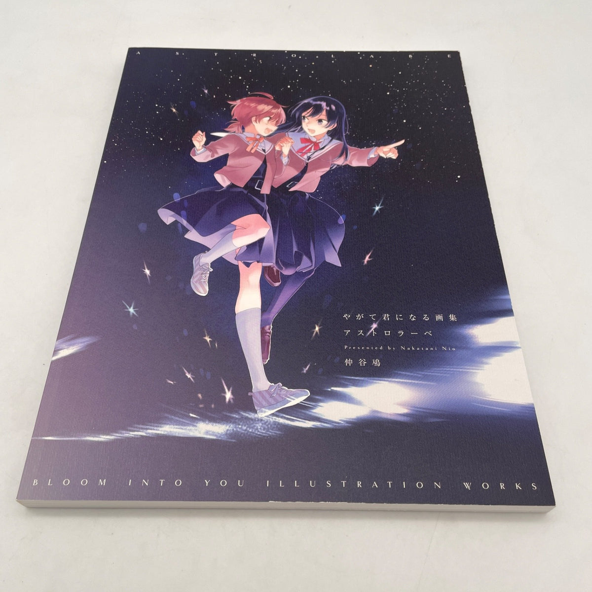 Yagate Kimi ni Naru Bloom Into You Art Book illustration Astrolabe Japan