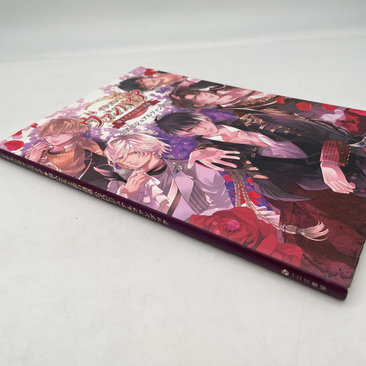 Ikemen series Vampire Ijin Tachi to Koi no Yuwaku Art Book Japanese