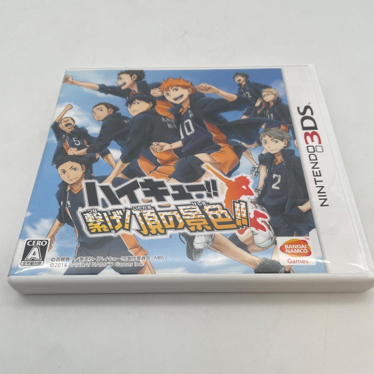 Nintendo 3DS Haikyu Tsunage Itadaki No Keshiki Japan Import