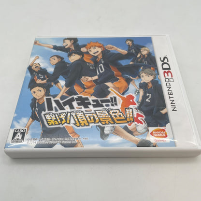 Nintendo 3DS Haikyu Tsunage Itadaki No Keshiki Japan Import