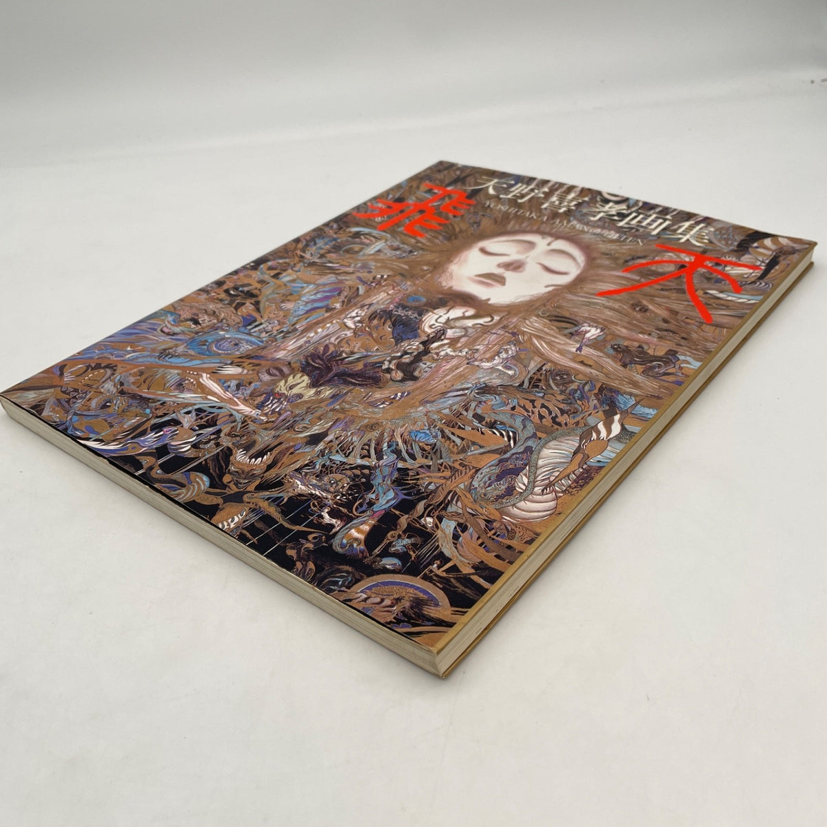 Yoshitaka Amano Art Book Hiten Artwrok Japanese Asahi Sonorama