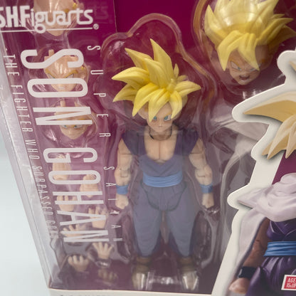 S.H. Figuarts Dragon Ball Super Saiyan Gohan Warrior who Surpassed Goku Bandai