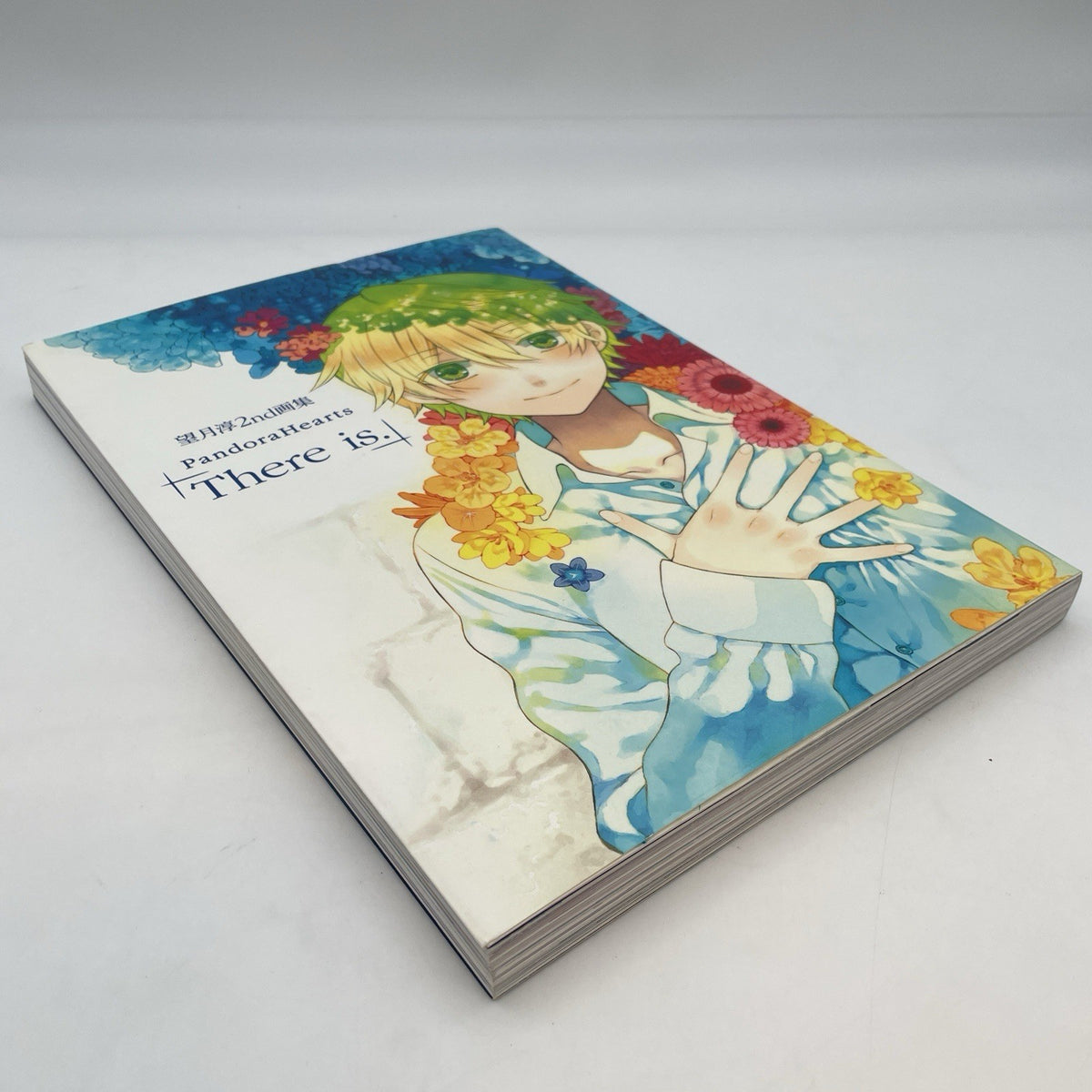 Pandora Hearts: There is. Jun Mochizuki 2nd Art Book Square Enix Japan