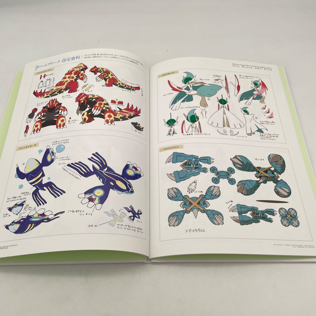Art book of New Hoenn Art Book: Pokemon Center Limited Omega Ruby Alpha Japan