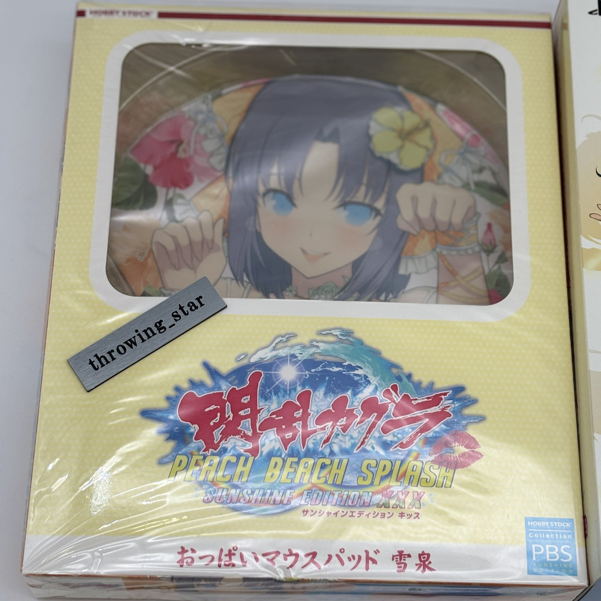 PS4 Senran Kagura PEACH BEACH SPLASH SUNSHINE EDITION XXX Playstation 4 Japan