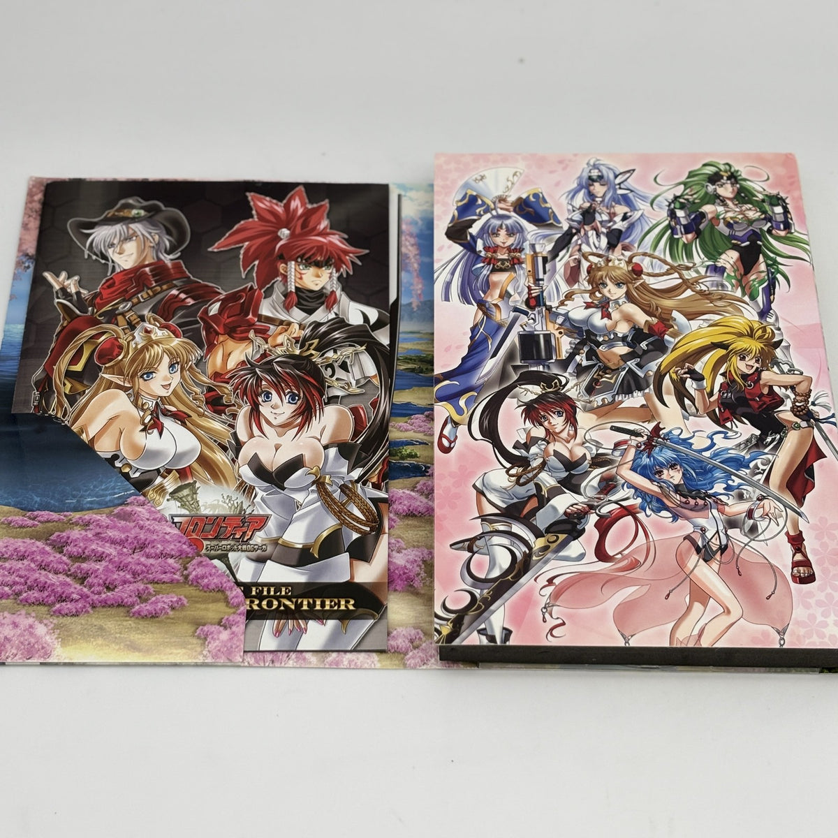 Nintendo DS Mugen no Frontier Super Robot Taisen OG Saga Limited Edition