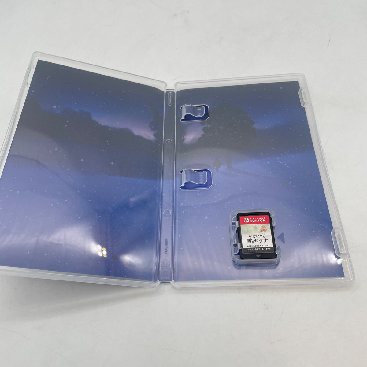 Nintendo Switch I am Setsuna Ikenie to Yuki no Setsuna Square Enix Japan Import