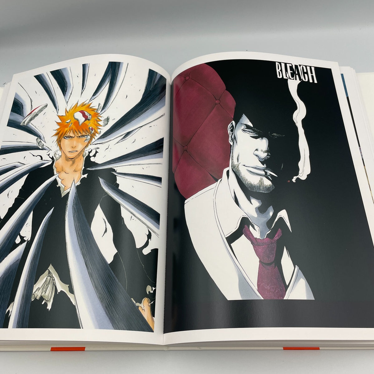 BLEACH Illustration Collection JET Art Book Case Limited Edition From Japan