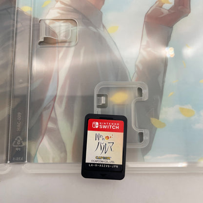 Nintendo Switch Toraware no Palm Deluxe Edition Chinese support Japan Import