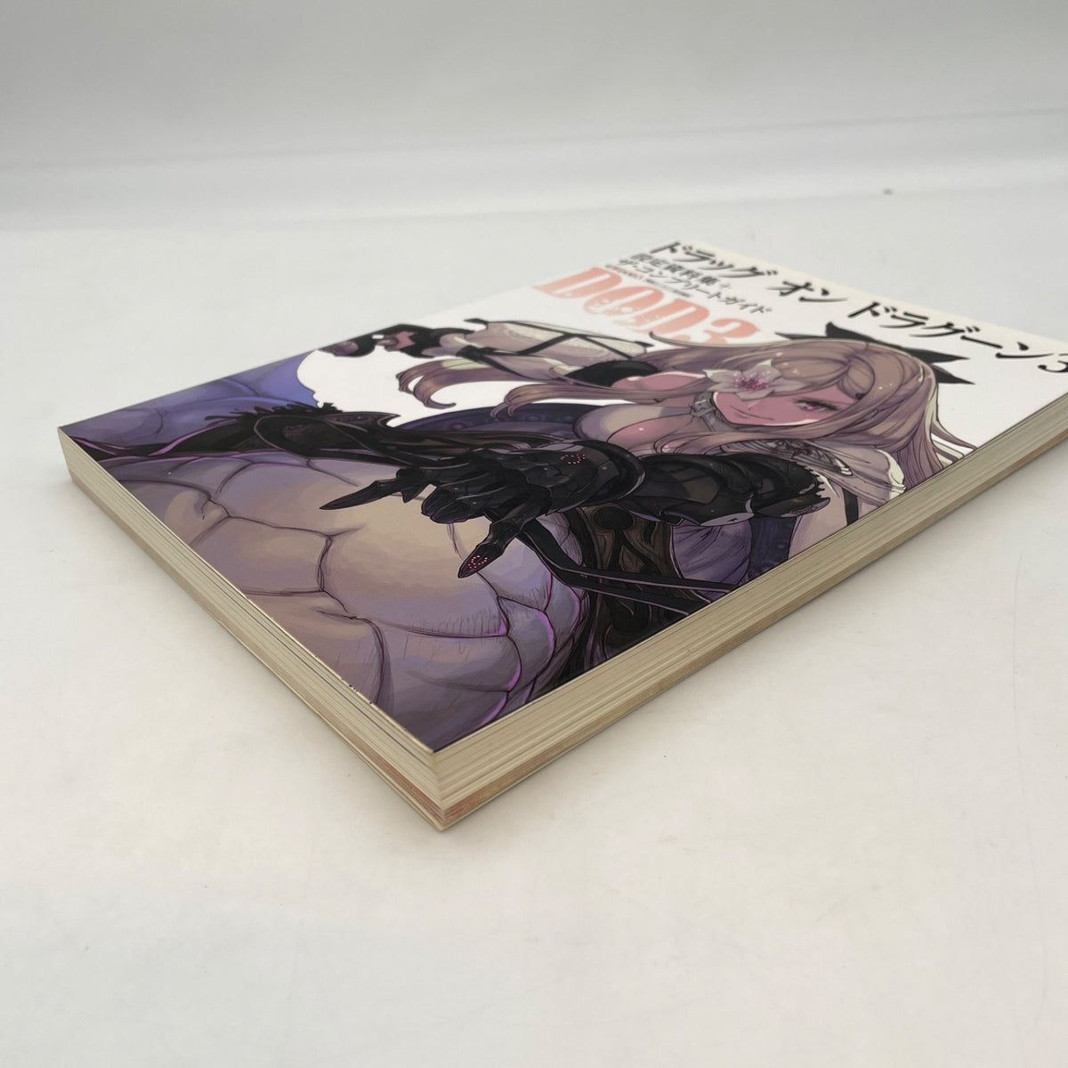 PS3 Drag On Dragoon 3 Art Book The Complete Guide ASCII Media Works/KADOKAWA