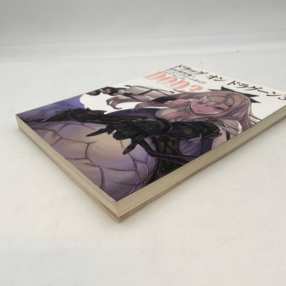 PS3 Drag On Dragoon 3 Art Book The Complete Guide ASCII Media Works/KADOKAWA