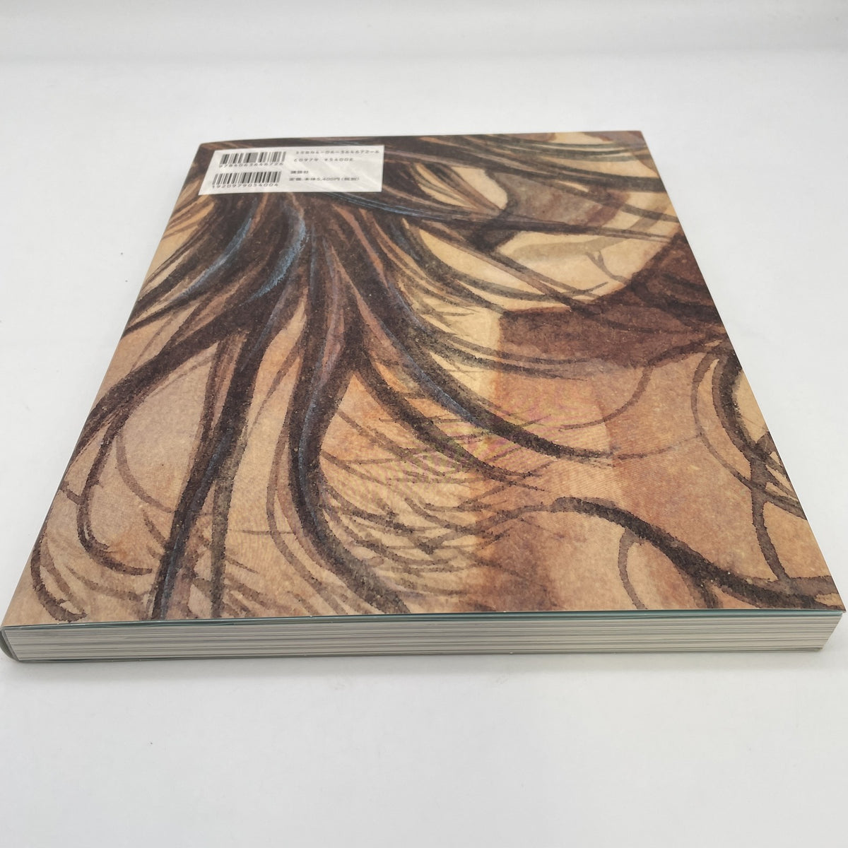 VAGABOND Takehiko Inoue Illustration Collection WATER Art Book KODANSHA